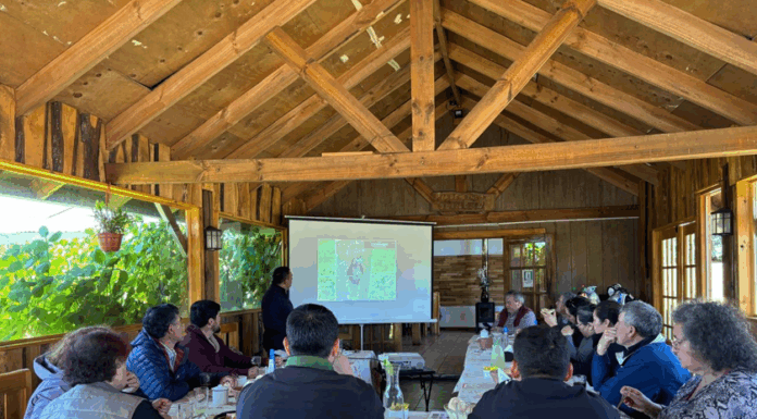 Unidad de Cercos Eléctricos y Pesaje Animal junto a la Sucursal Temuco realizaron taller a GTT especializado en ovinos