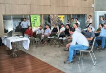 Actividad de Avellanos Europeos en la zona de Chillan